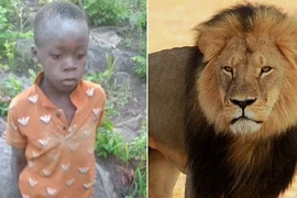 Bé 8 tuổi sống sót sau 5 ngày lạc ở nơi có thú hoang