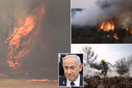 Cháy rừng lớn nhất lịch sử, Israel ban bố tình trạng khẩn cấp