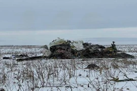 Thông tin mới vụ rơi máy bay Nga chở 74 người