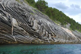 Những khoảnh khắc cực hiếm thú vị trong cuộc sống