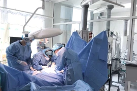 Suy đa tạng, tử vong...loạt hậu quả đáng sợ vì ong đốt