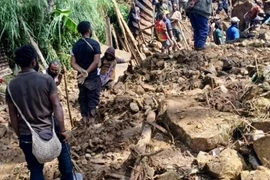 Lở đất ở Papua New Guinea: Hơn 2.000 người bị vùi lấp