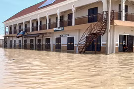 Lũ lụt cuốn trôi rắn, cá sấu vào khu dân cư