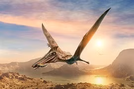 Phát hiện loài quái vật khổng lồ từng thống trị bầu trời