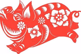 Tử vi đầy đủ cho người tuổi Hợi năm Canh Tý 2020