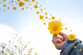 8 đức tính của người được Thần Phật mỉm cười, hậu vận rực sáng