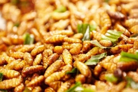 Nhộng tằm rất giàu dinh dưỡng nhưng dễ gây ngộ độc, thậm chí tử vong