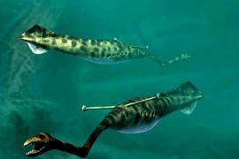 Những hiểu biết mới về "quái vật siêu bí ẩn Tully"