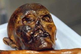 Hé lộ hành trình cuối của xác ướp đóng băng 5.300 năm trên dãy Alps