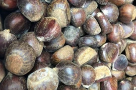 Dân ta lừa dân mình, hàng độc bên Tàu rước về hại nhau