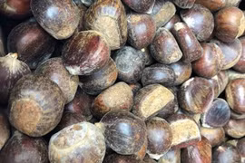 Dân ta lừa dân mình, hàng độc bên Tàu rước về hại nhau