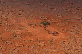 Giải mã bí ẩn về những “vòng tròn cổ tích” kỳ lạ ở Namibia