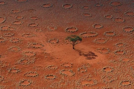 Giải mã bí ẩn về những “vòng tròn cổ tích” kỳ lạ ở Namibia