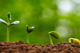 2 cách đơn giản để gieo mầm hạnh phúc, đừng nên bỏ qua