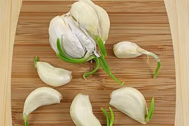 Bất ngờ bài thuốc quý chống lại 14 loại ung thư từ tỏi mọc mầm