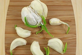 Bất ngờ bài thuốc quý chống lại 14 loại ung thư từ tỏi mọc mầm