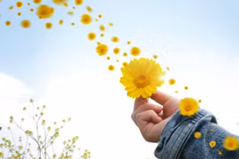 Đời người hãy cứ sống vui vẻ, lạc quan, rồi mọi khó khăn sẽ qua