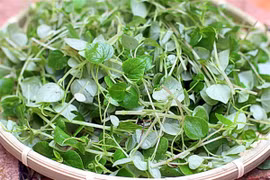 Loạt lợi ích sức khỏe bất ngờ của rau càng cua