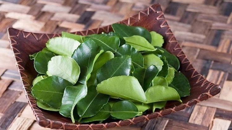 Ảnh minh họa d18cabd70b01815fd810.jpg