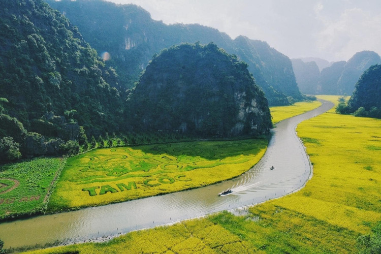 논 한가운데 있는 배에 앉아 있으면 흥미로운 경험을 할 수 있습니다. - 사진: Tuyen Parafu ninh-binh-mua-lua-chin1.jpg