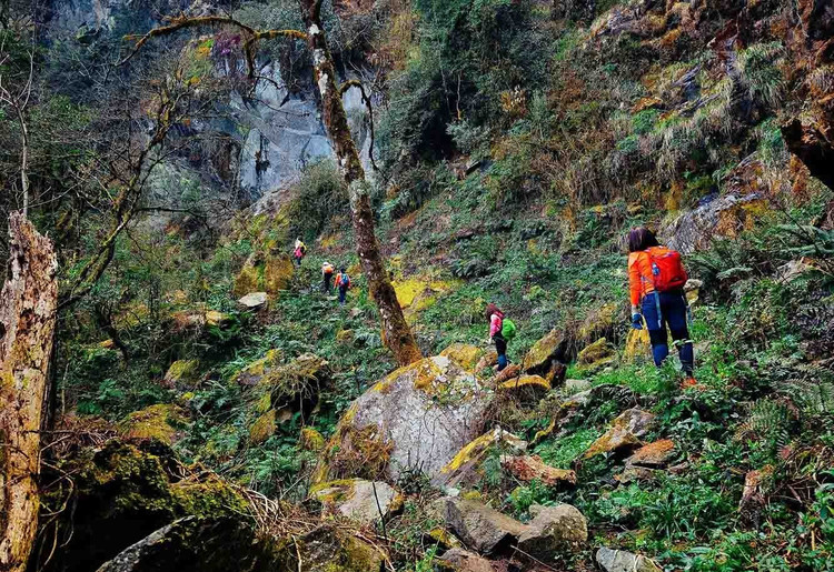 Ảnh Nguyễn Trọng Cung trekking-mua-mua.jpg