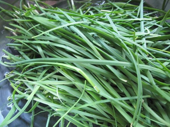 Lá hẹ trị ho từ thiên nhiên/Ảnh minh họa-Internet