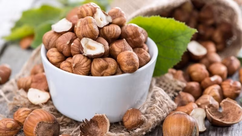 Hạt phỉ đã được trồng và sử dụng ở rất nhiều nước trên thế giới, trong đó có Việt Nam. Ảnh minh họa/Internet