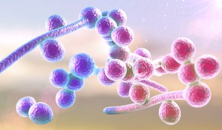 Ảnh minh họa/Internet