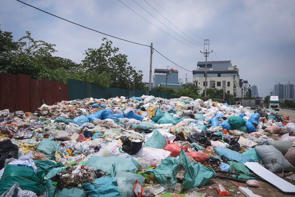 Thực phẩm bị đổ bỏ tại bãi rác là các loại bánh kẹo, hạt, hoa quả sấy, thạch,... đã hết hạn sử dụng từ năm 2024. (Ảnh tienphong.vn)