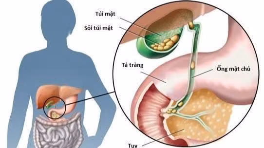 Ảnh minh họa /Nguồn nhandan.vn