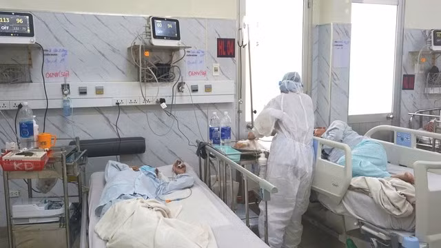 83% mẫu giải trình tự gen của bệnh nhân COVID-19 tại TPHCM là biến chủng NB.1.8.1. (Ảnh SKĐS)