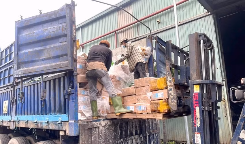 Số thực phẩm không rõ nguồn gốc được cơ quan chức năng mang đi tiêu hủy theo quy định. Ảnh: CAĐN.