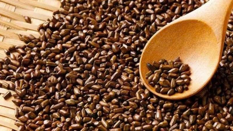 Các nghiên cứu và kinh nghiệm dân gian cho thấy, hạt muồng mang lại nhiều lợi ích cho sức khỏe. Ảnh minh họa/Internet