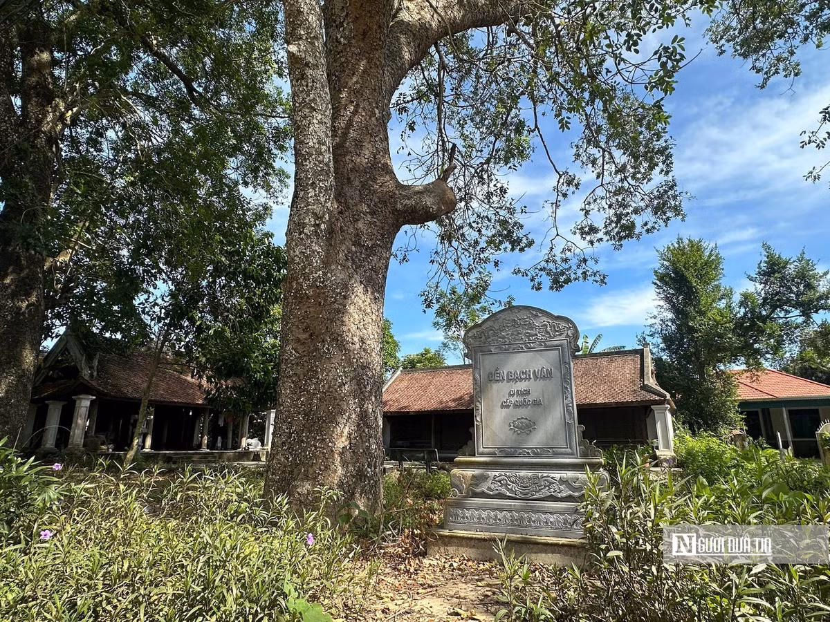 Sau hơn 3 thế kỷ tồn tại, cùng những biến cố thăng trầm của lịch sử, nhiều hạng mục của đền Bạch Vân và chùa Thịnh Xá đã bị hư hại nghiêm trọng.