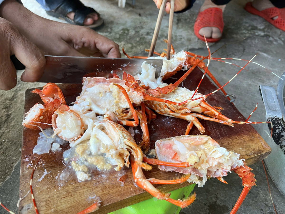 Thịt tôm hùm chứa tạp chất/ Ảnh Chi cục QLTT tỉnh Phú Yên