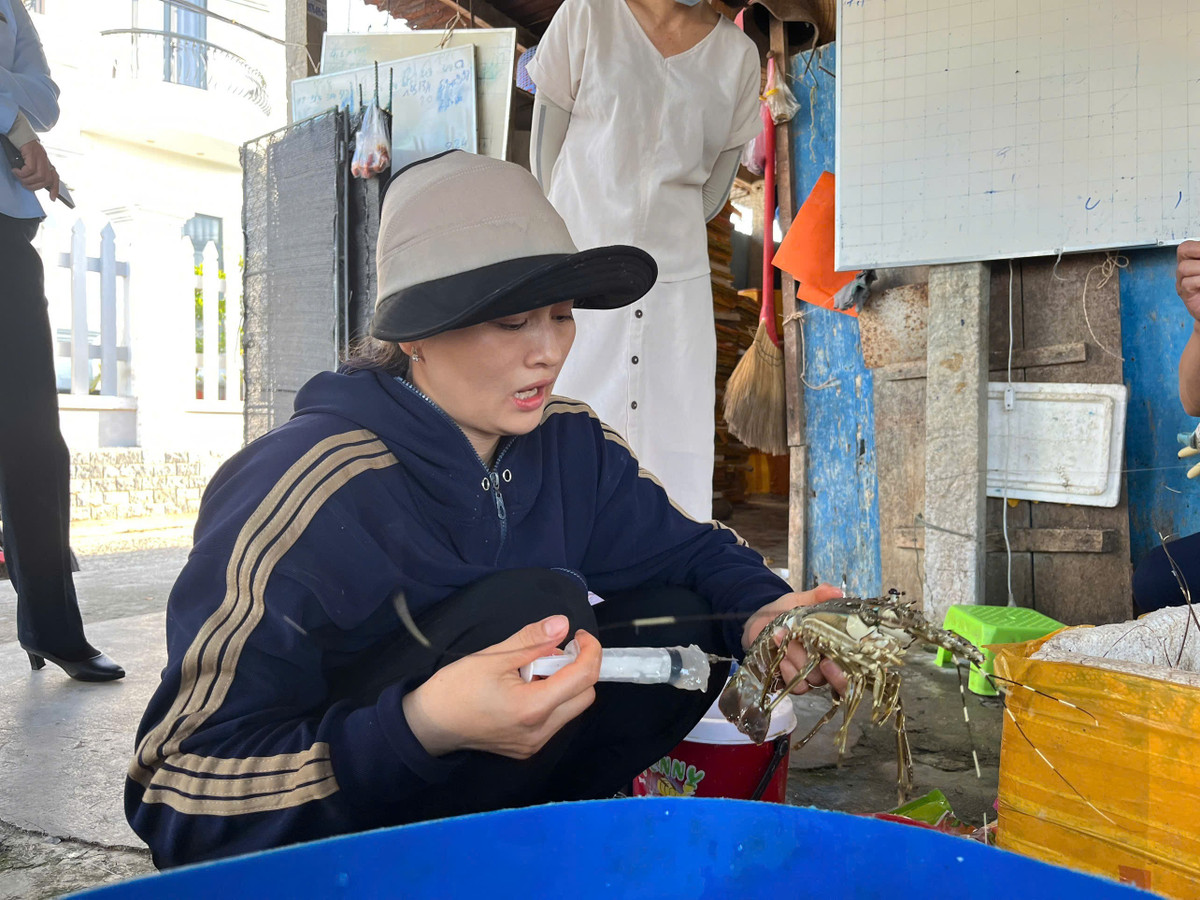 Bà X. bơm tạp chất vào tôm hùm chết/ Ảnh Chi cục QLTT tỉnh Phú Yên