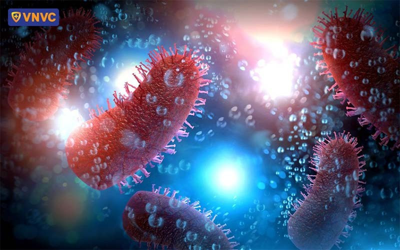 Một số thực nghiệm tại phòng thí nghiệm, chứng minh Rabies virus gây dại xâm nhập vào tế bào sau 15 phút thông qua các vết cắn, cào, xước... Ảnh VNVC