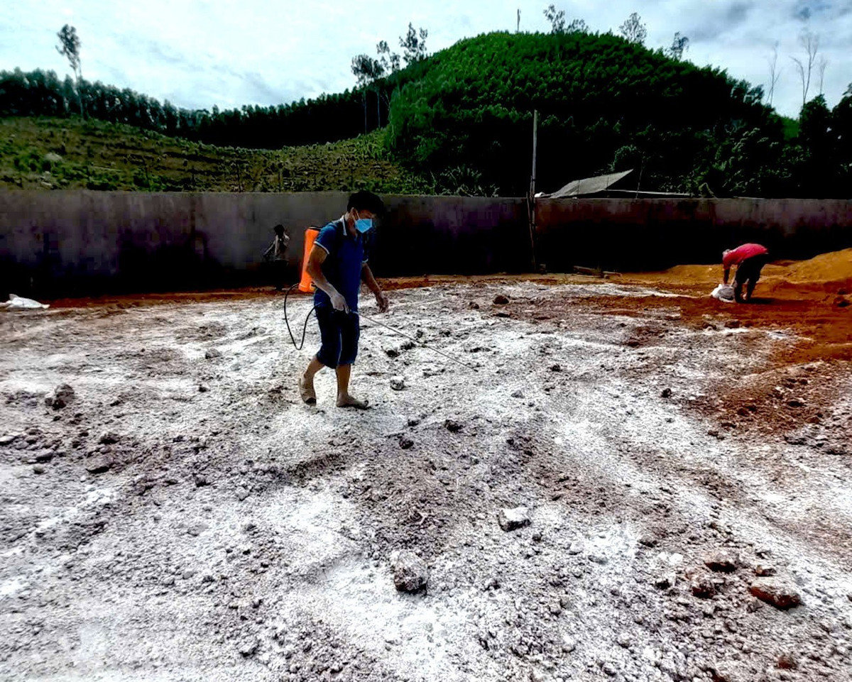 Hơn 100 tấn thịt heo đã được tiêu huỷ/Ảnh tienphong,vn