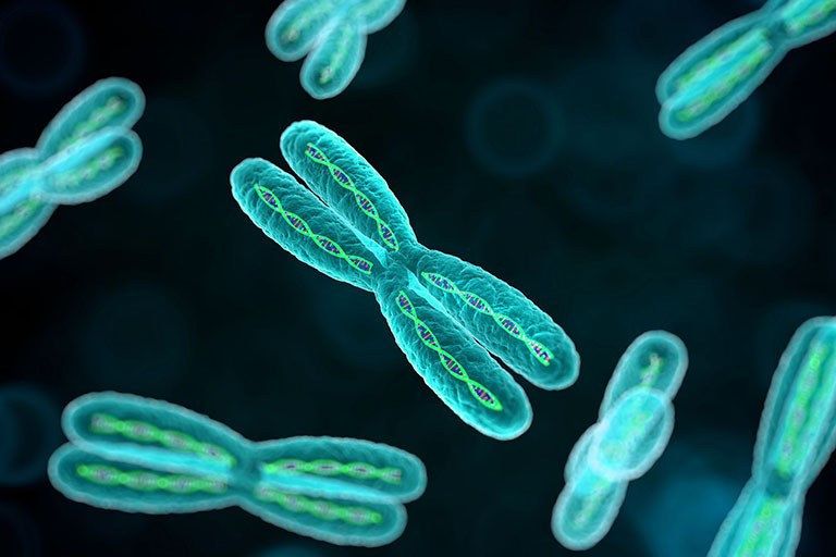 Hội chứng KlineFelter xảy ra ở nam giới do đột biến gây dư thừa 1 NST giới tính X. Ảnh minh hoạ/Internet