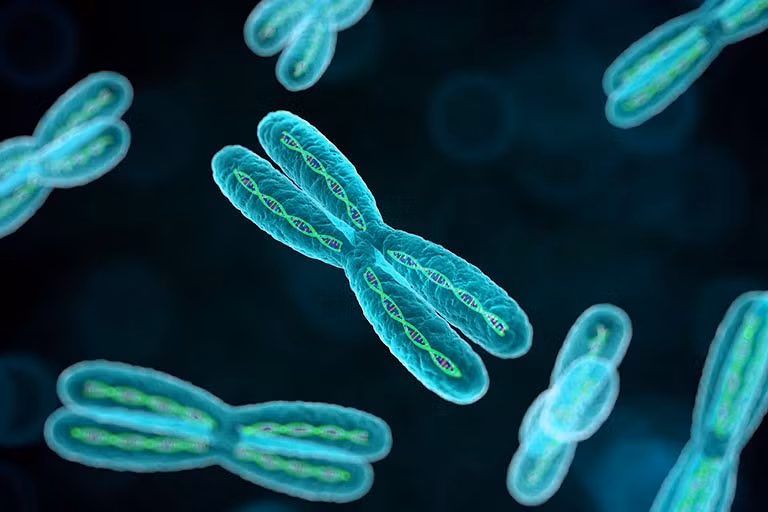 Hội chứng KlineFelter xảy ra ở nam giới do đột biến gây dư thừa 1 NST giới tính X. Ảnh minh hoạ/Internet