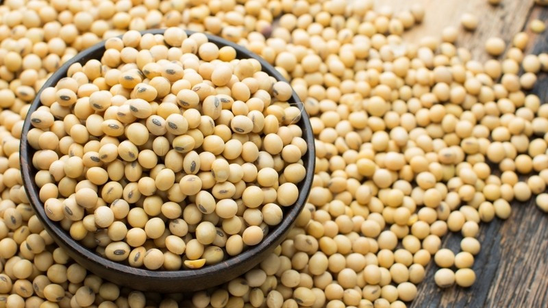 Người bệnh tuyến giáp nên hạn chế đậu nành và chế phẩm để tránh giảm hiệu quả điều trị. Ảnh minh họa/Internet