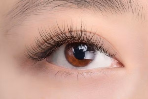 Cần lựa chọn người thực hiện nối mi có kỹ thuật cao để hàng mi luôn được cong đều và hạn chế tác hại. Ảnh SKĐS