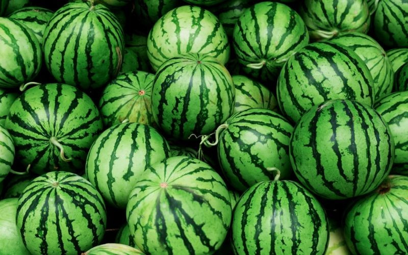 Ảnh minh họa/Nguồn Internet