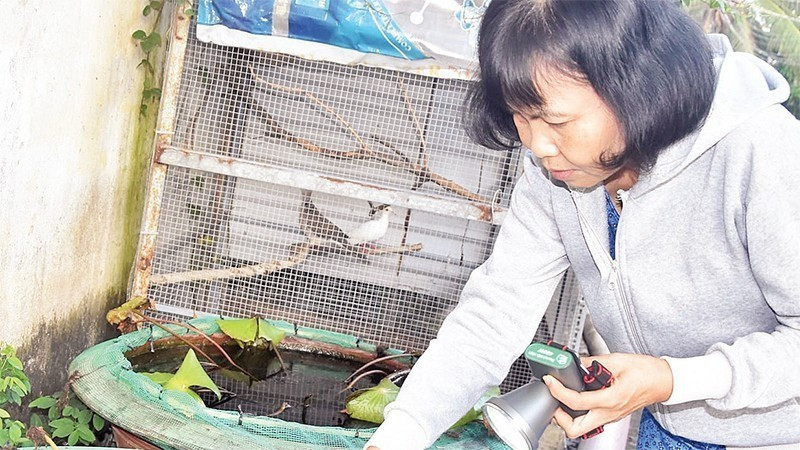 Biện pháp phòng bệnh sốt xuất huyết hiệu quả nhất vẫn là diệt muỗi, diệt lăng quăng/bọ gậy và tránh muỗi đốt/Ảnh: Báo nhân dân). 