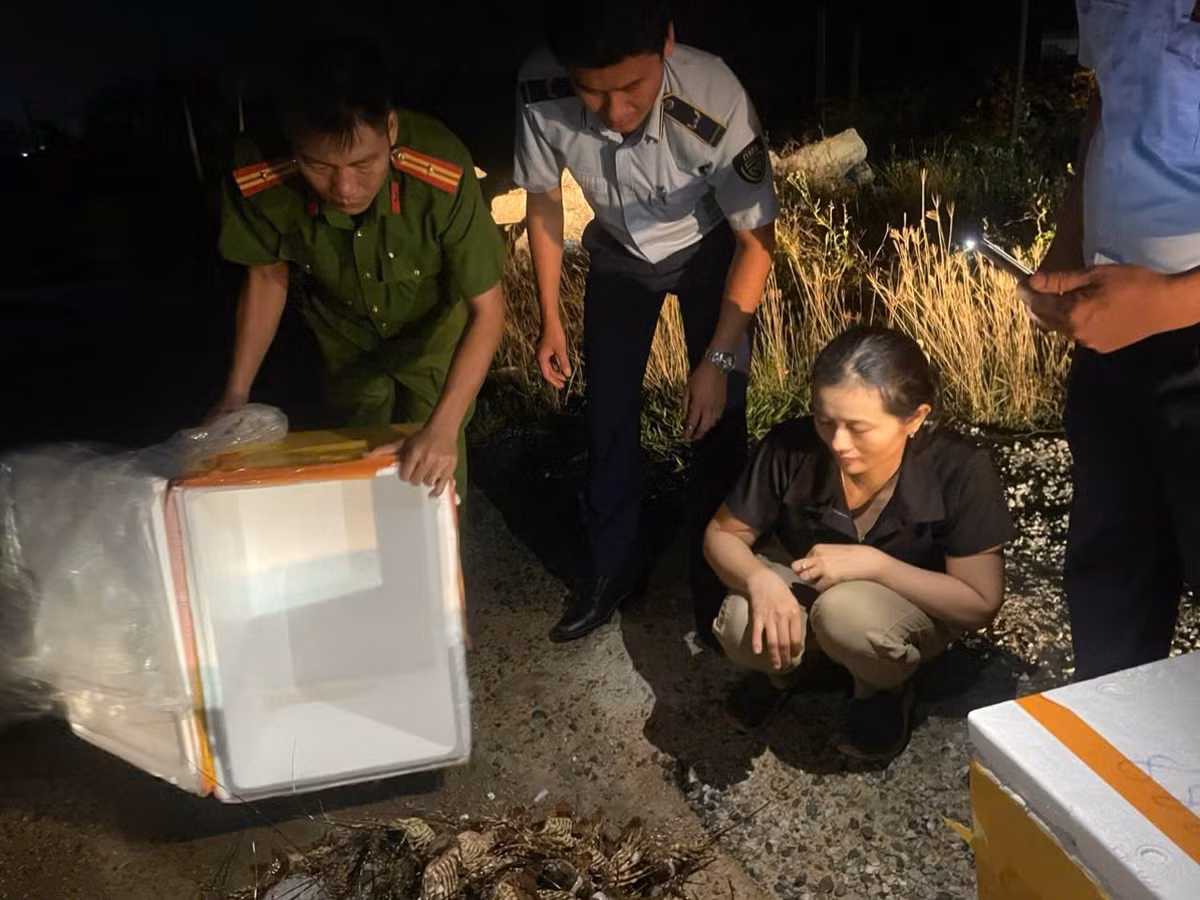 Lực lượng chức năng thu giữ toàn bộ tang vật/ Chi cục QLTT tỉnh Phú Yên