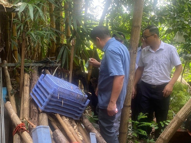 CDC Hà Nội kiểm tra sốt xuất huyết tại phường Xuân Phương. Ảnh tuoitrethudo.vn