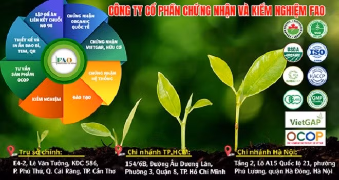 Công ty Cổ phần Chứng nhận và Kiểm nghiệm FAO vi phạm lĩnh vực chỉ định/Ảnh thuonghieucongluan.com