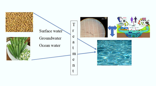 Sơ đồ mô tả cơ chế “kết dính” vi nhựa bằng chiết xuất thực vật. image-13882e-microplastics.jpg