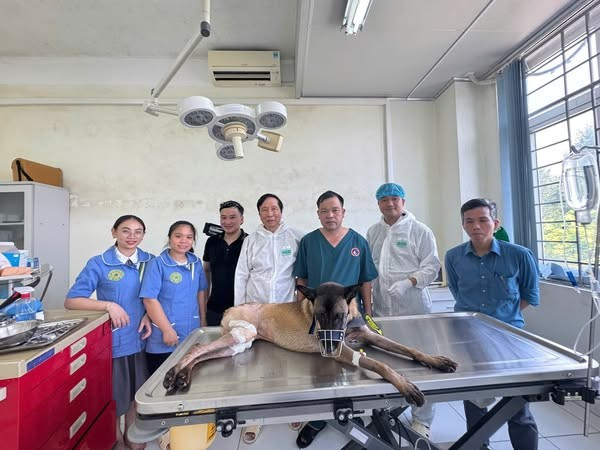 Một số nghiên cứu ban đầu trên động vật cho thấy, tiêm exosome vào khớp gối có thể giúp giảm đau, cải thiện chức năng vận động và làm chậm quá trình thoái hóa - Ảnh BSCC khoi-goi-moi1.jpg