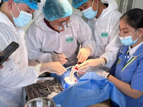 Liệu pháp điều trị cá thể hóa bằng chất tiết tế bào gốc (exosome) đã thu hút sự quan tâm của giới khoa học - Ảnh BSCC khoi-goi-moi.jpg